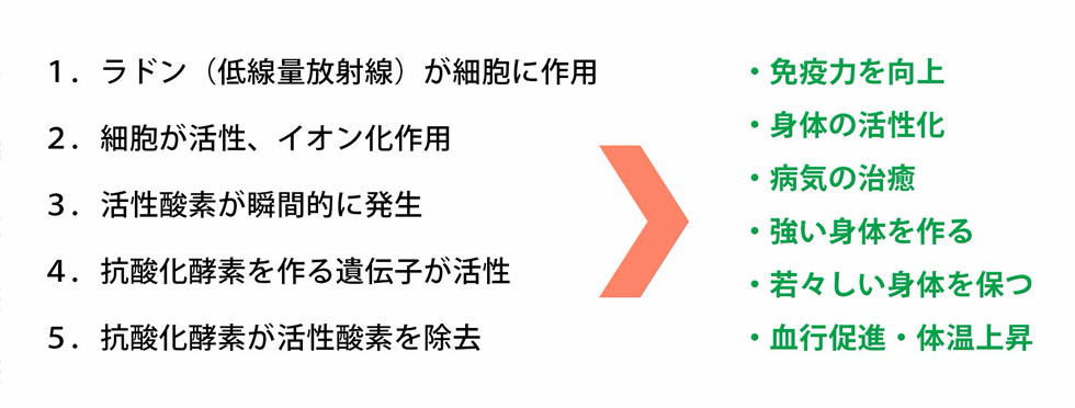ホルミシス効果の働きを説明する図