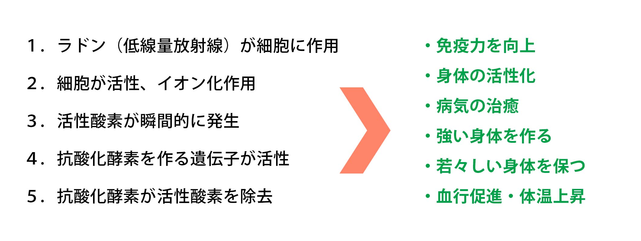 ホルミシス効果とは