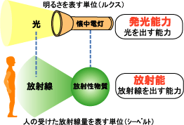 低線量放射線とは